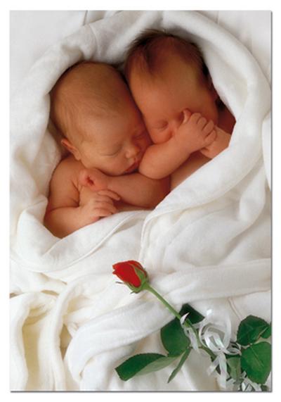 SLEEPING BABIES WITH ROSE, GEDDES