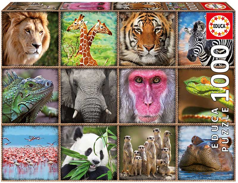 COLLAGE DE ANIMALES SALVAGES